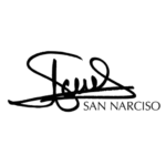saulsannarciso.com.es favicon